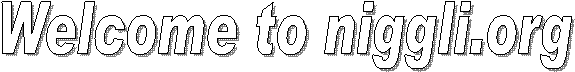 Welcome to niggli.org